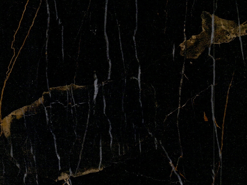 Black and Gold Marble